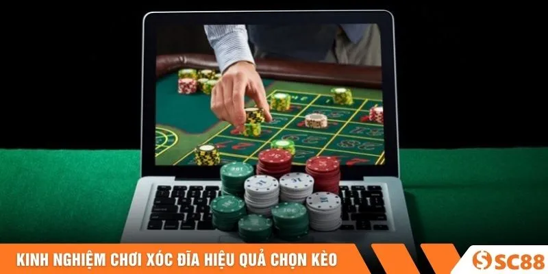 Kinh nghiệm chơi xóc đĩa hiệu quả chọn kèo 